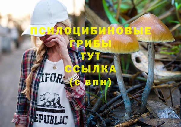 МДПВ Арсеньев