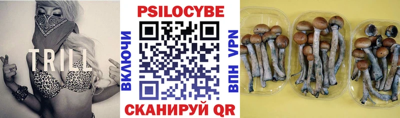 Псилоцибиновые грибы Psilocybine cubensis  Купить  Кодинск 
